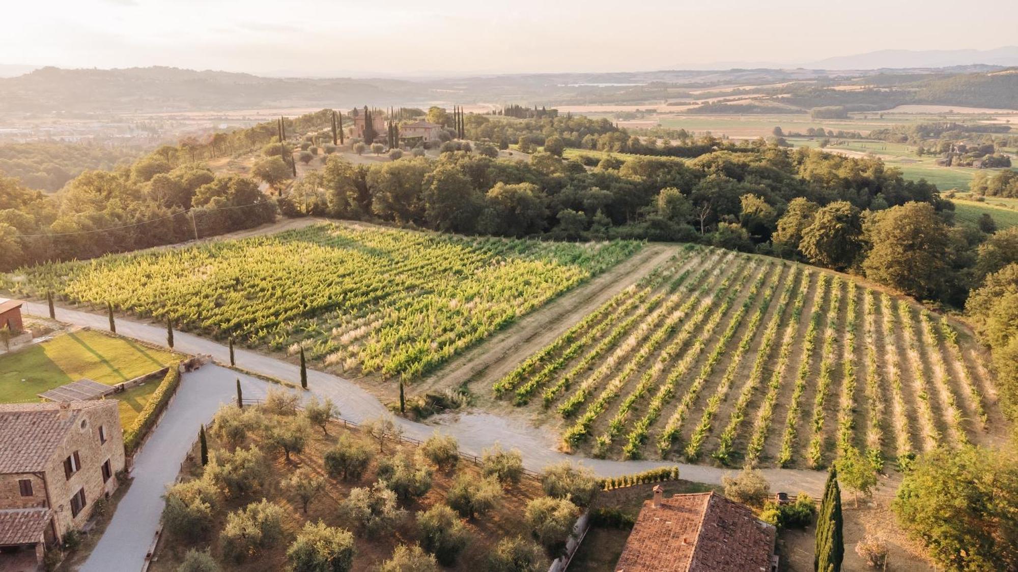 הוילה Città della Pieve Borgo Siliano - Antico Podere Siliano מראה חיצוני תמונה
